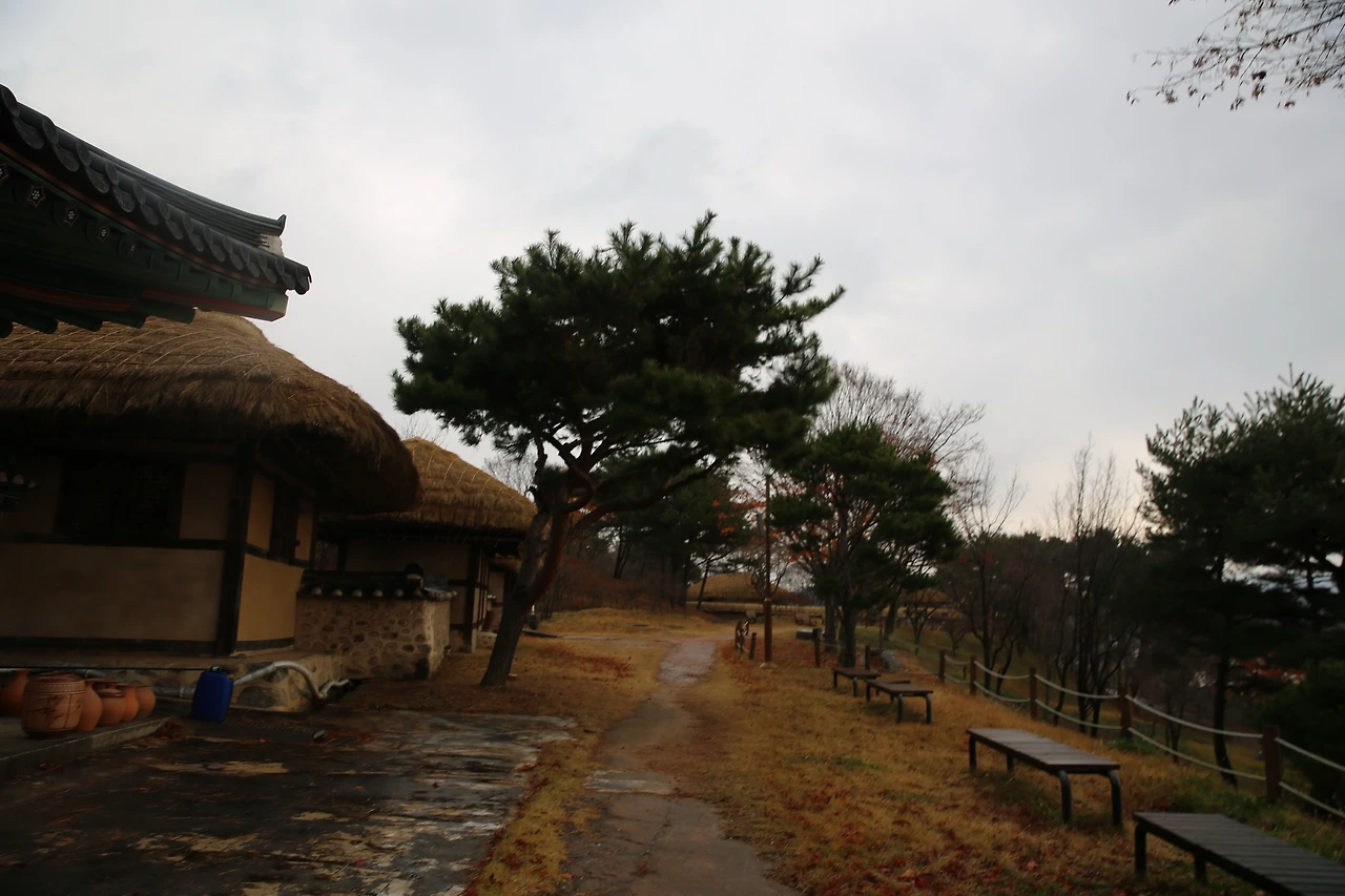 MG0A1938_новый размер.JPG