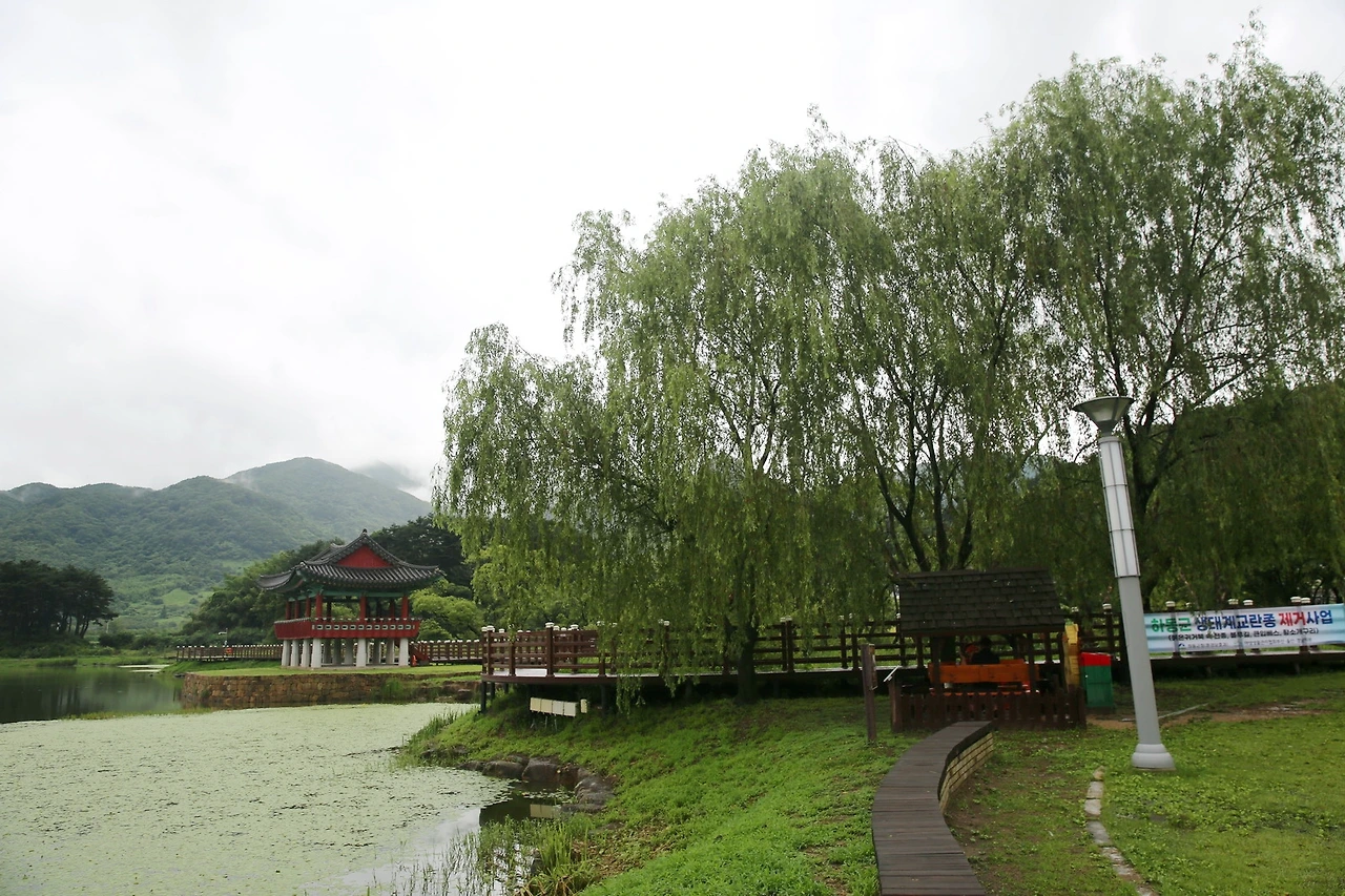 MG0A3509_новый размер_exposure.JPG