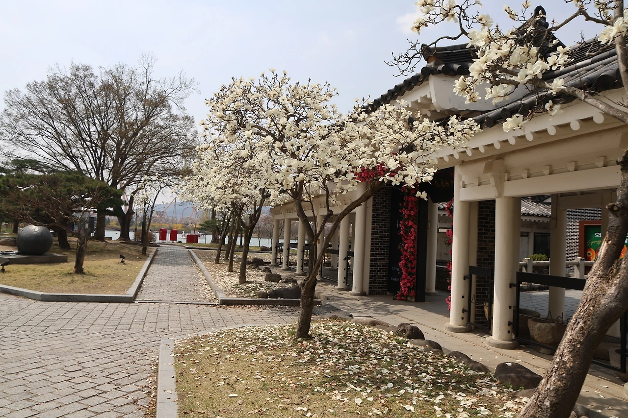 0R5A4620_новый размер.JPG