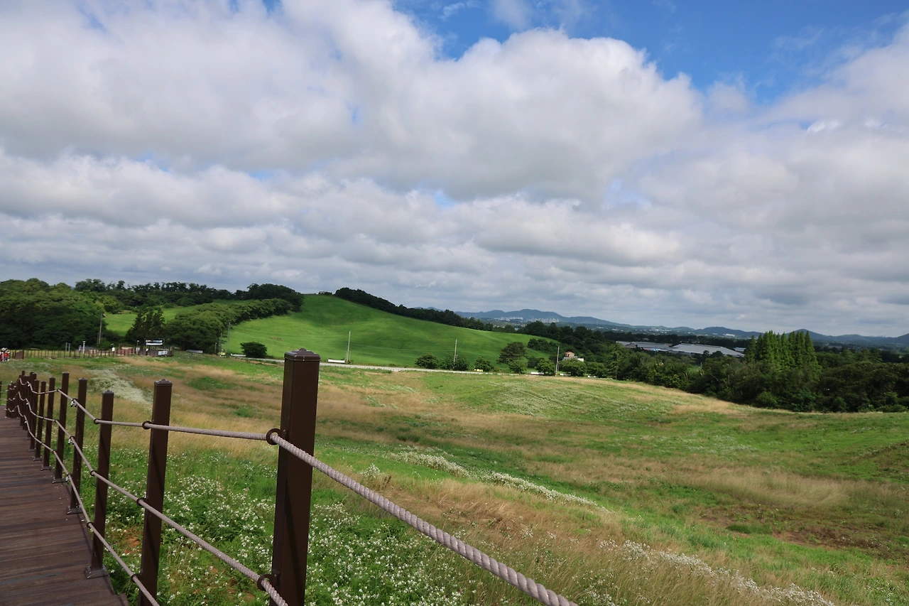 0R5A7211_новый размер.JPG