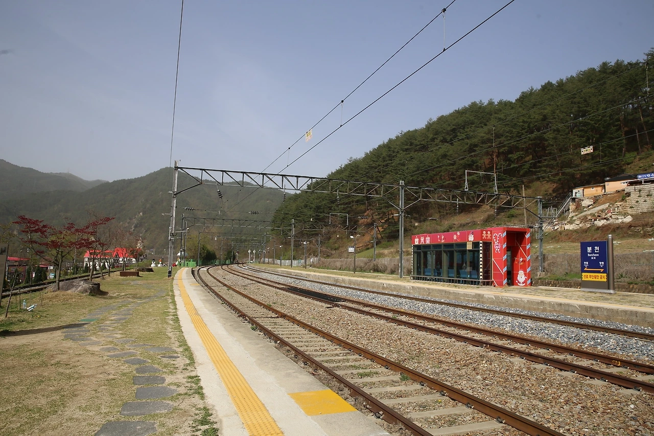 MG0A0056_новый размер.JPG