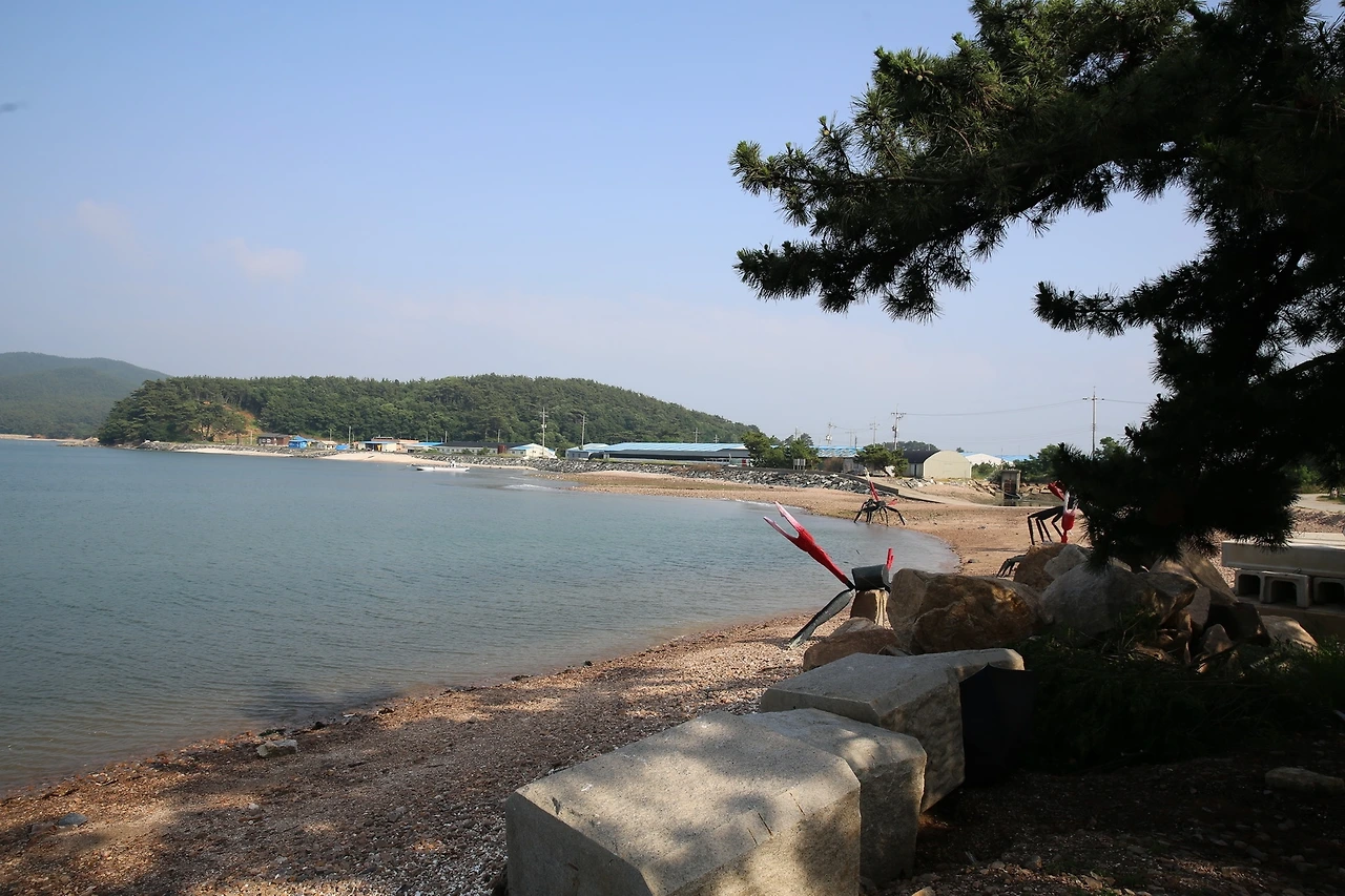 MG0A4042_новый размер.JPG