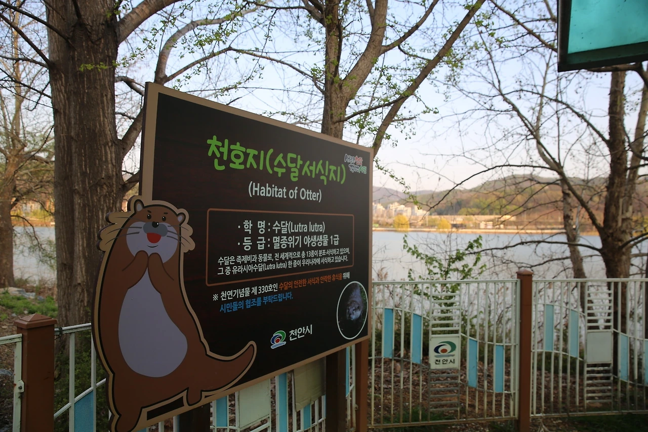 MG0A8911_новый размер.JPG