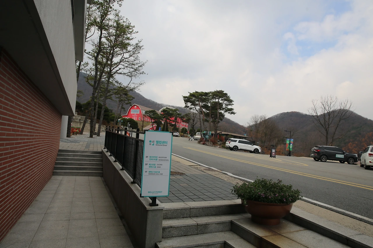 MG0A3111_новый размер.JPG