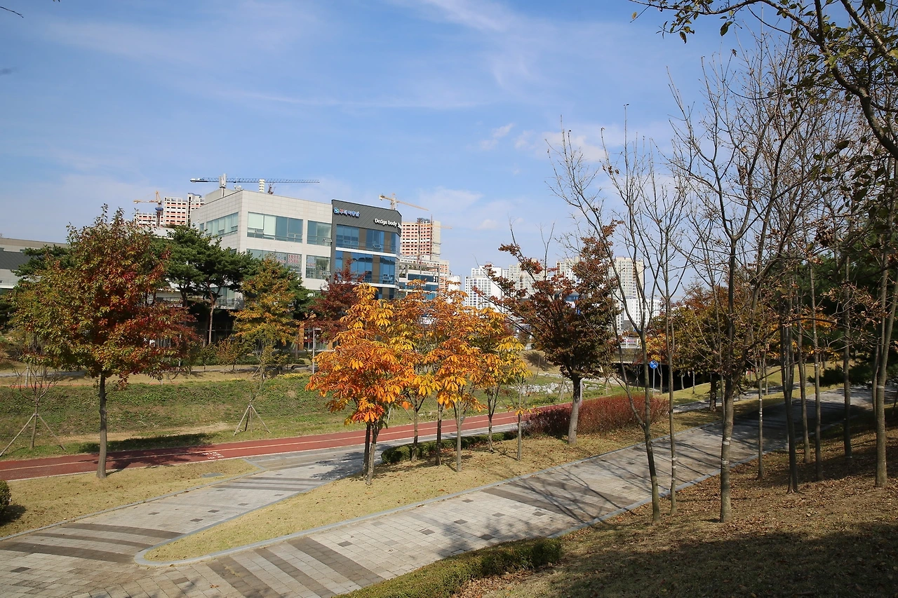 MG0A7289_новый размер.JPG