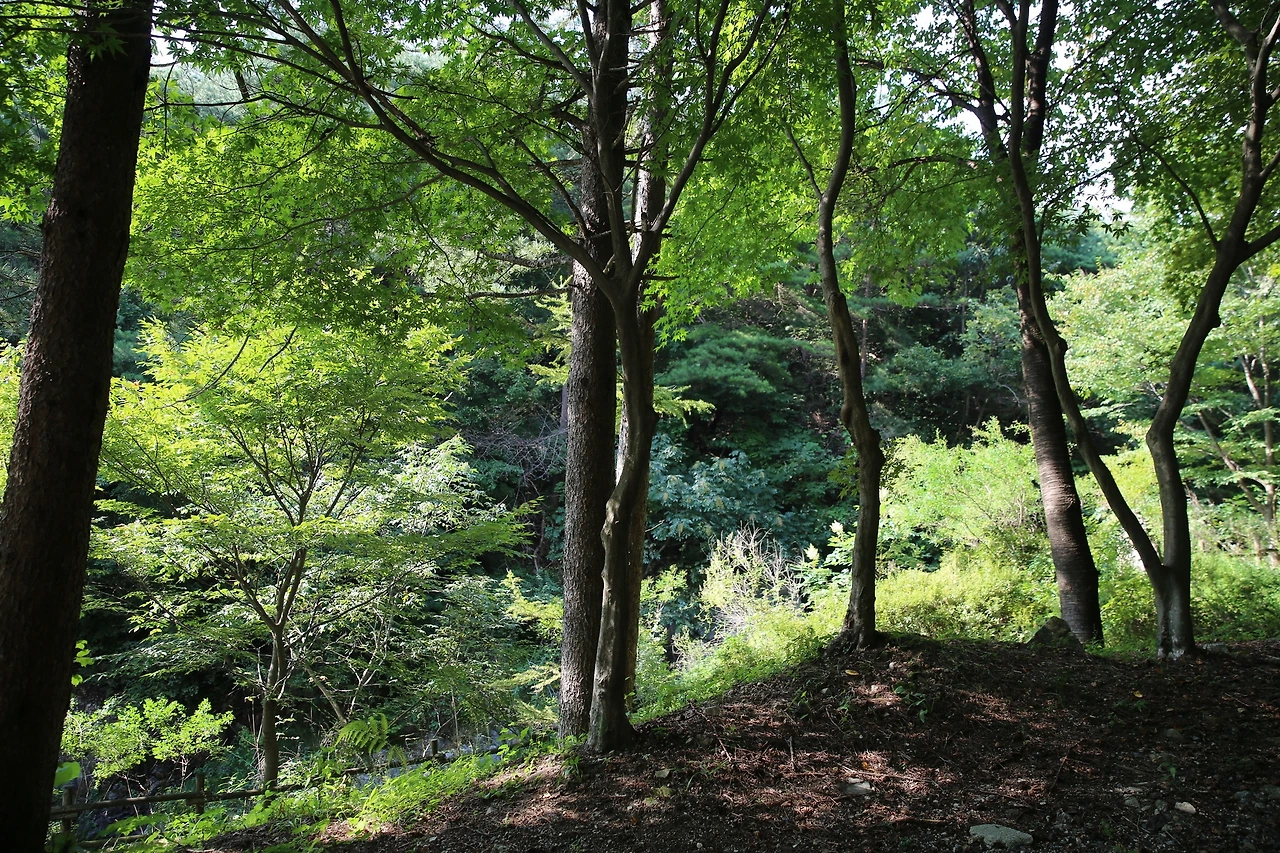 MG0A0525_новый размер.JPG