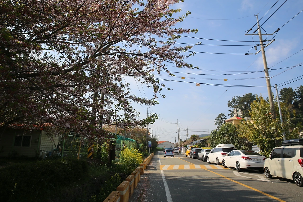 MG0A8978_новый размер.JPG