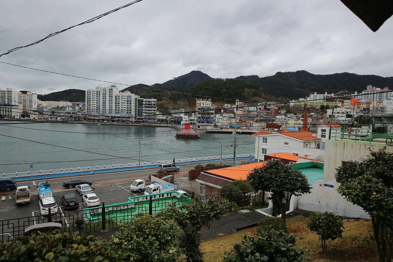 MG0A6741_новый размер.JPG