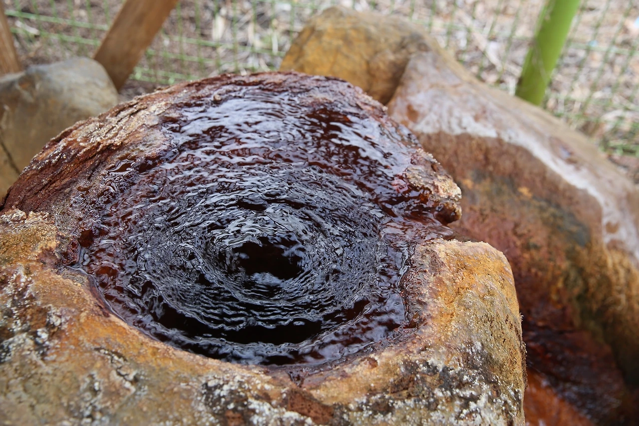 MG0A2727_новый размер.JPG