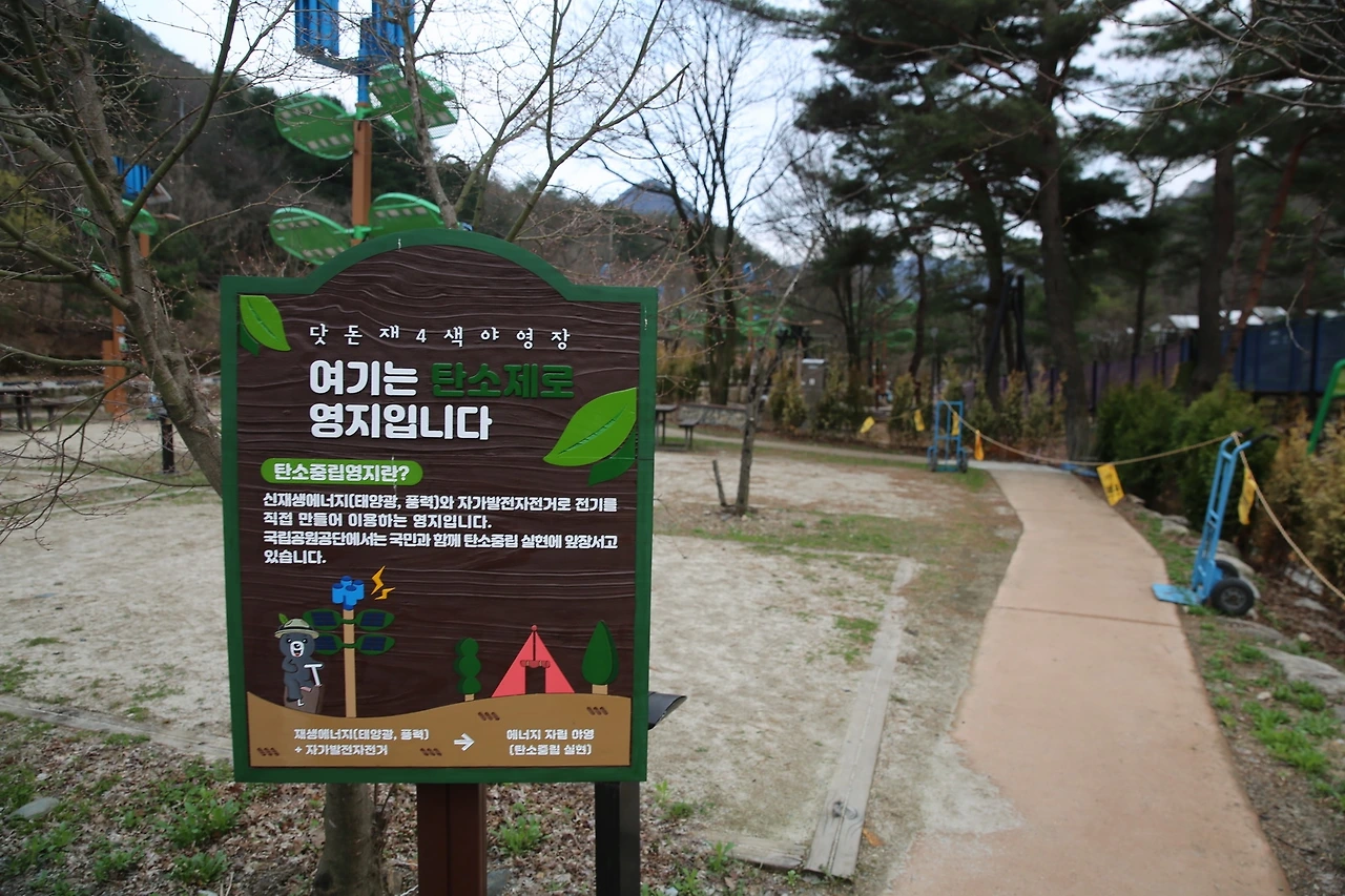 MG0A8402_новый размер.JPG