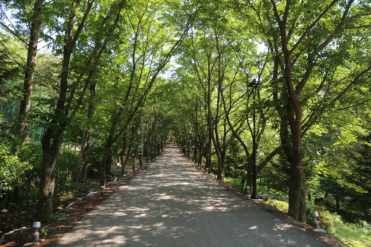 MG0A2206_новый размер.JPG