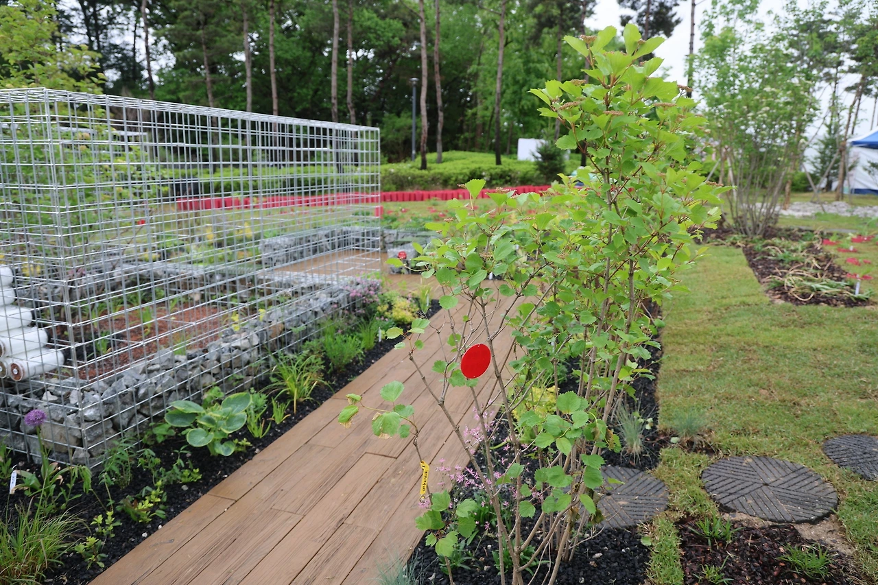 0R5A0202_новый размер.JPG