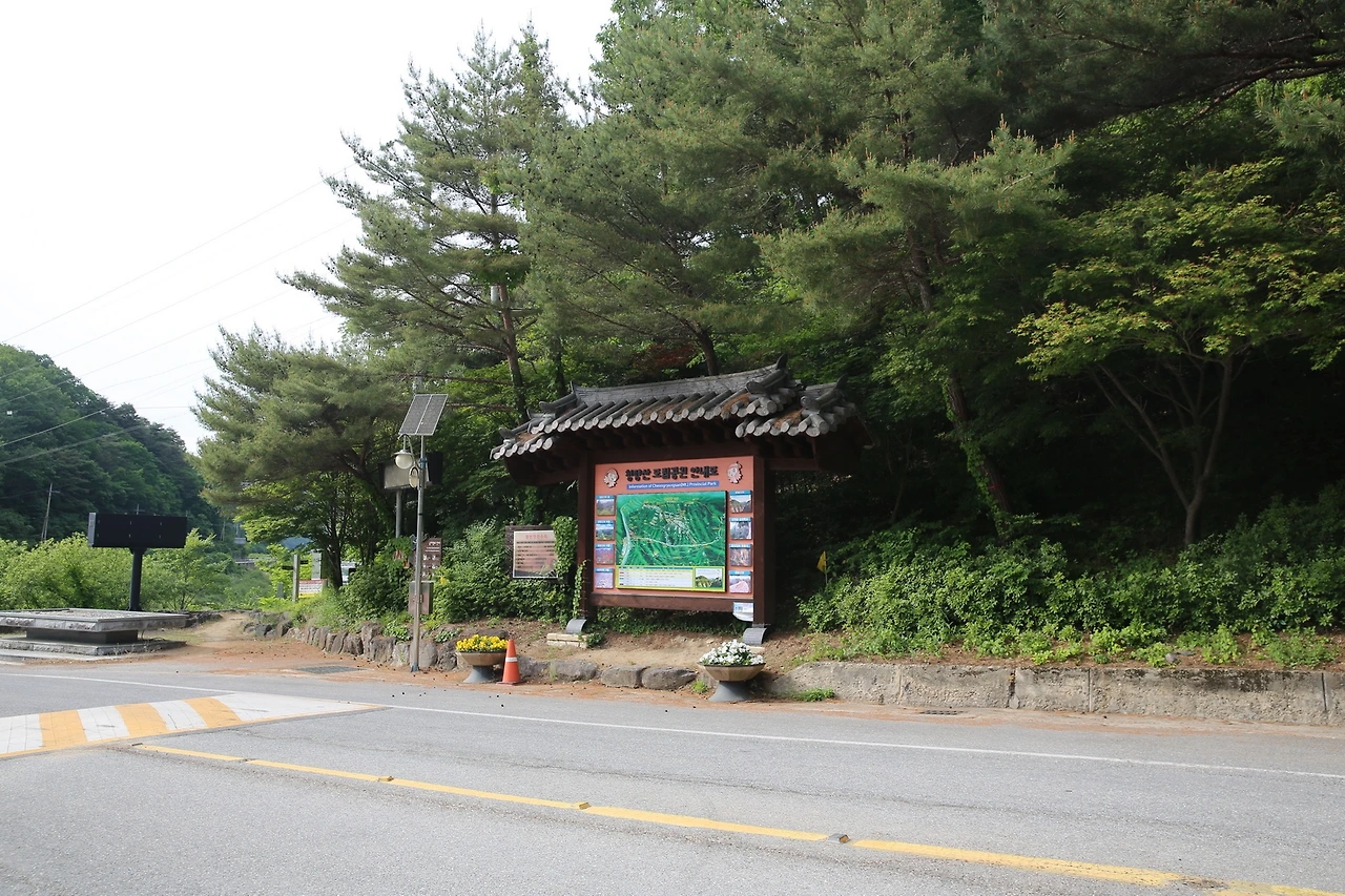 MG0A9875_новый размер.JPG