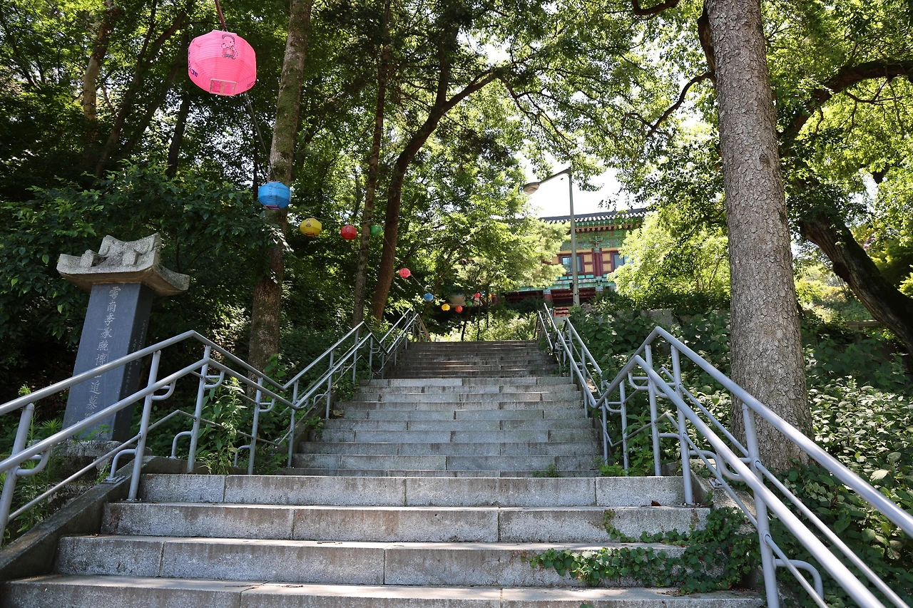 0R5A9851_новый размер.JPG