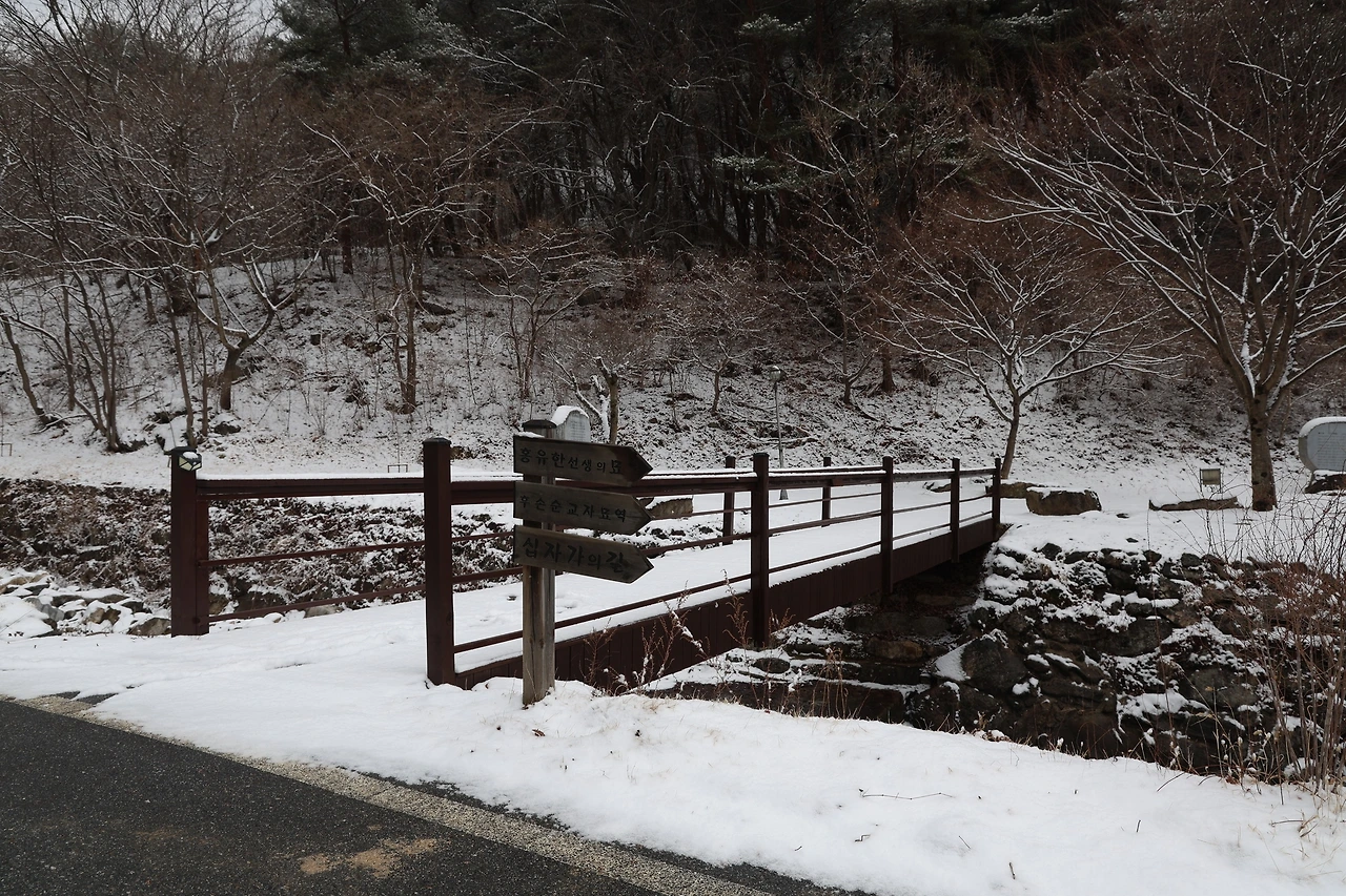 0R5A3150_новый размер.JPG