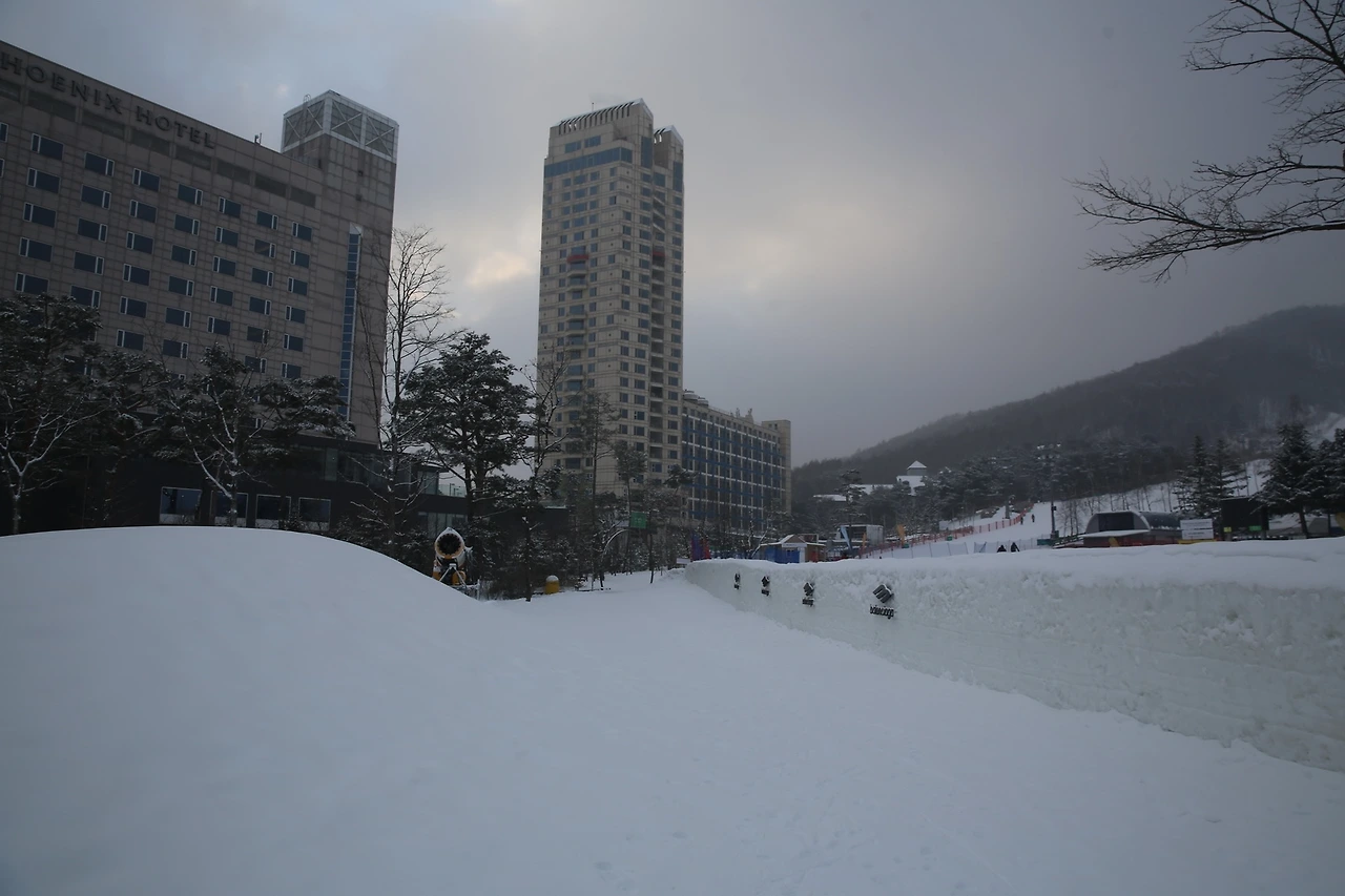 MG0A6259_новый размер.JPG