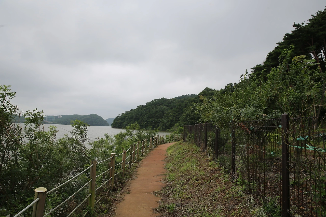 MG0A3582_новый размер.JPG