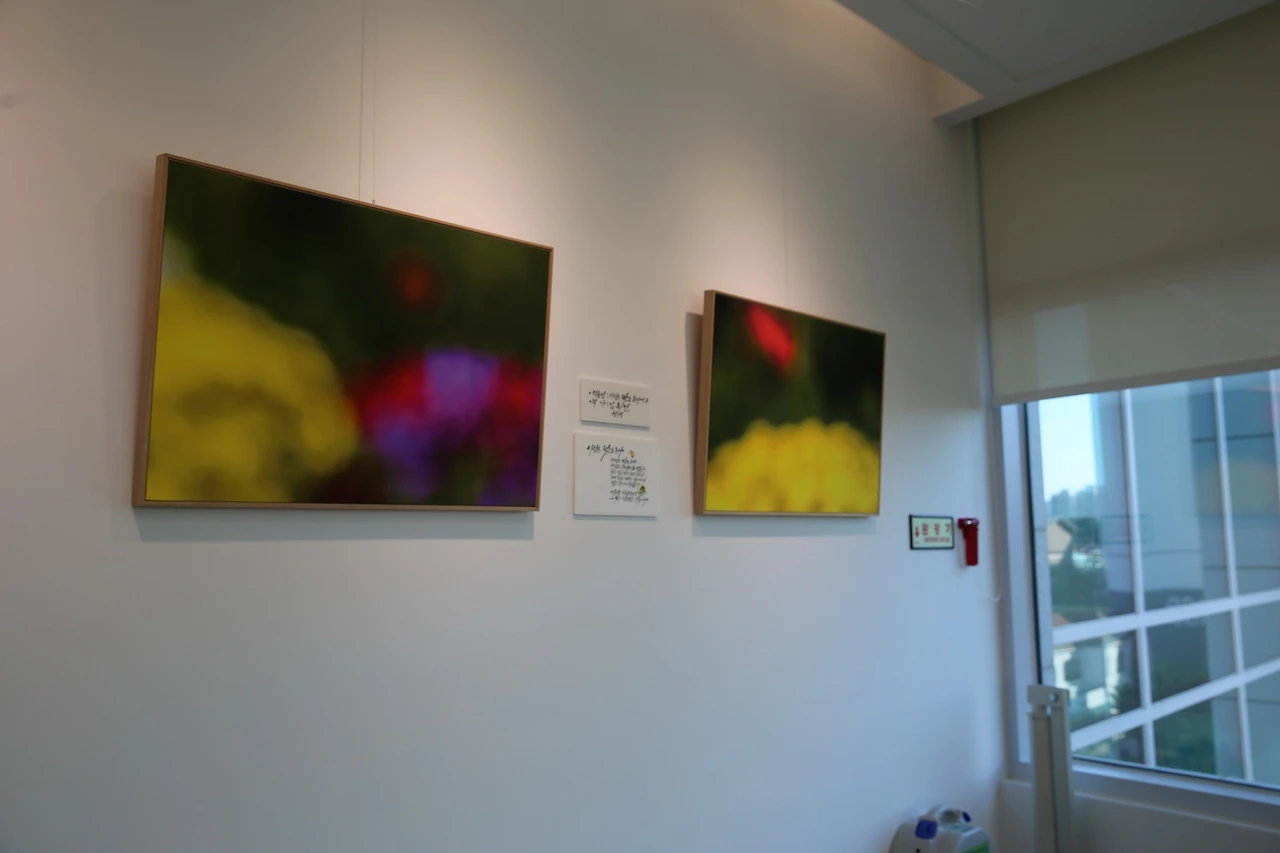 MG0A1478_новый размер.JPG