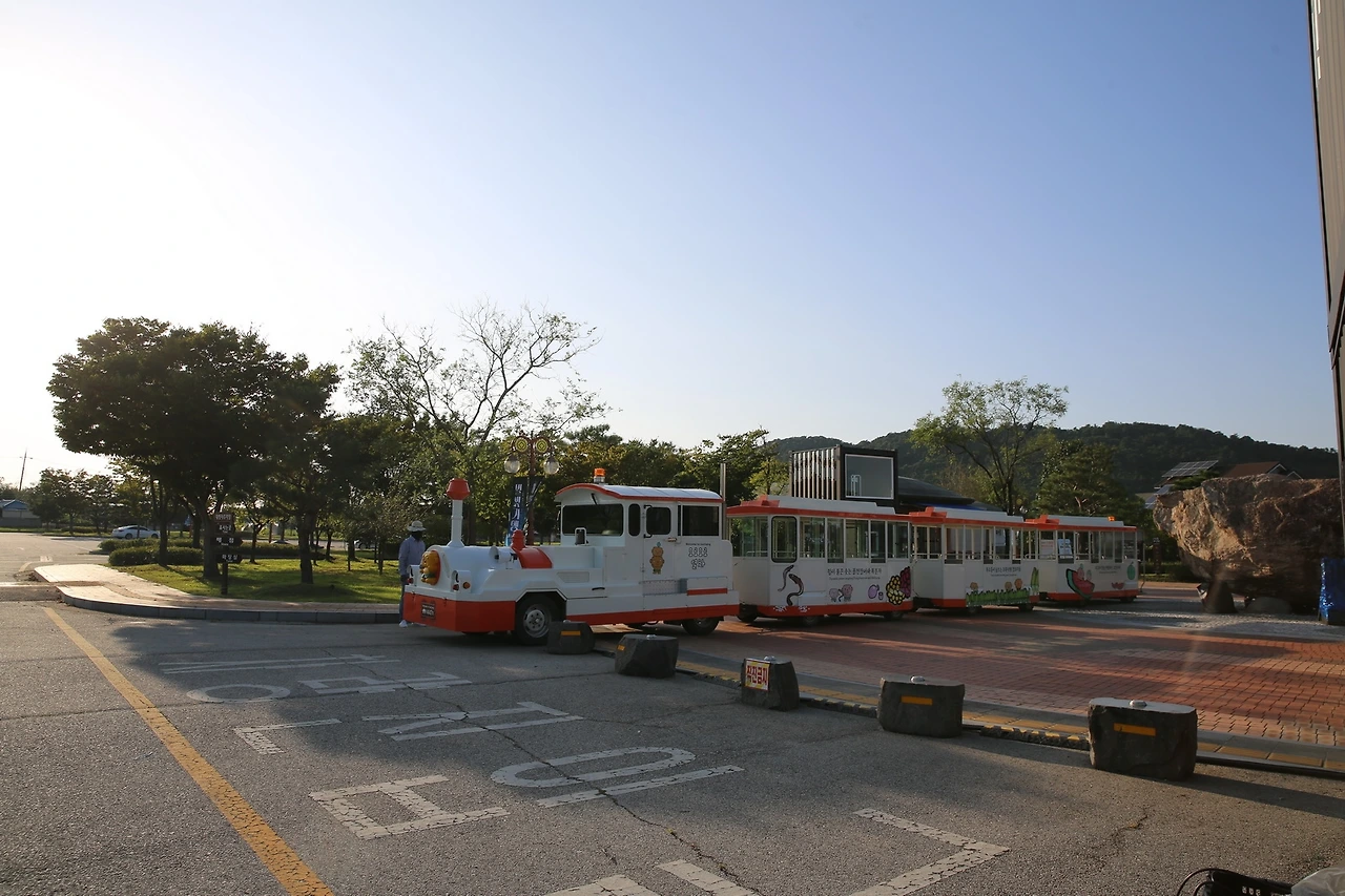 MG0A1274_новый размер.JPG