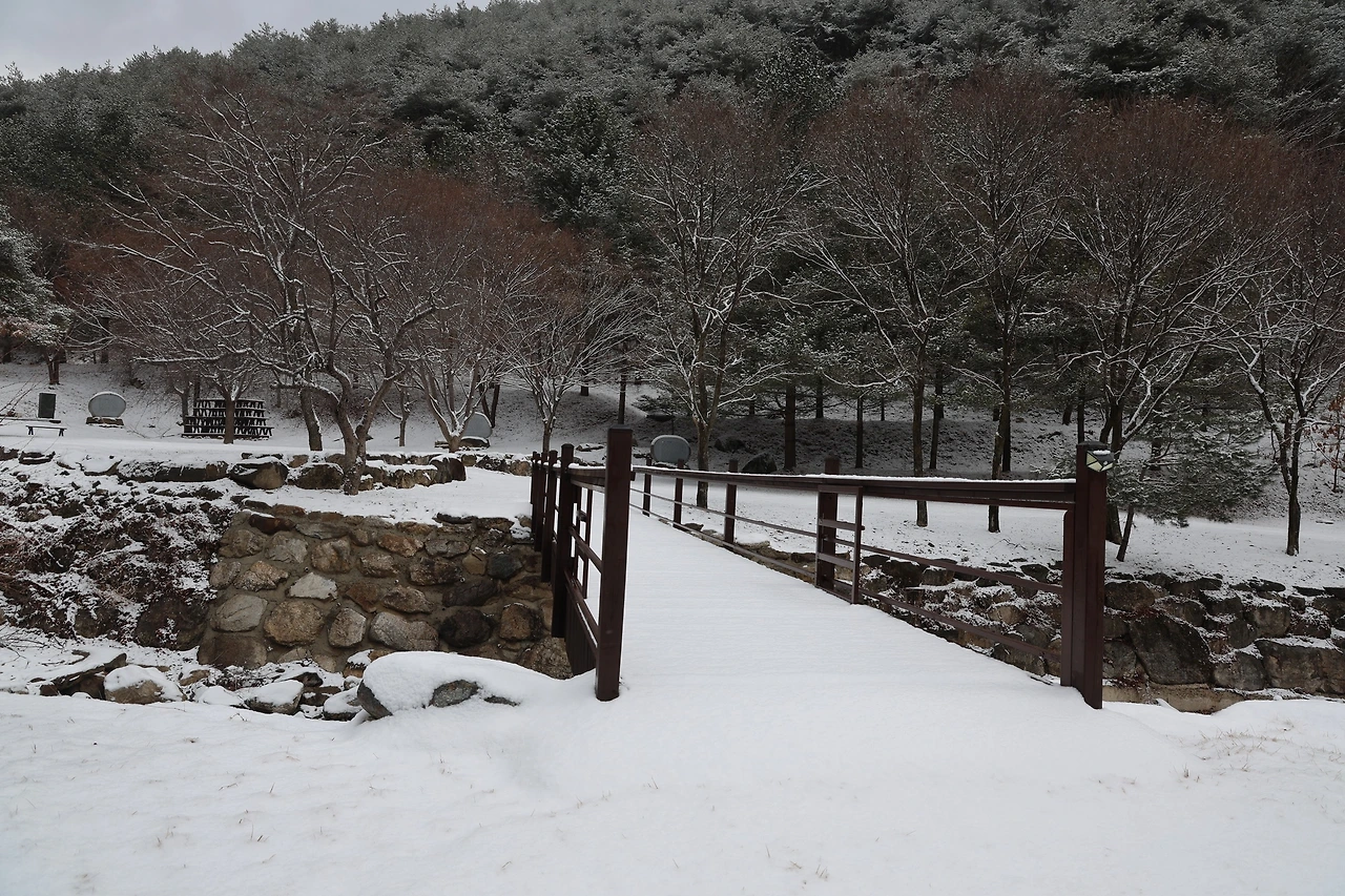 0R5A3152_новый размер.JPG