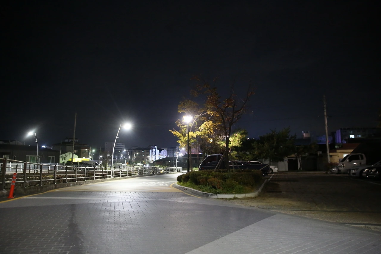 MG0A0334_новый размер.JPG