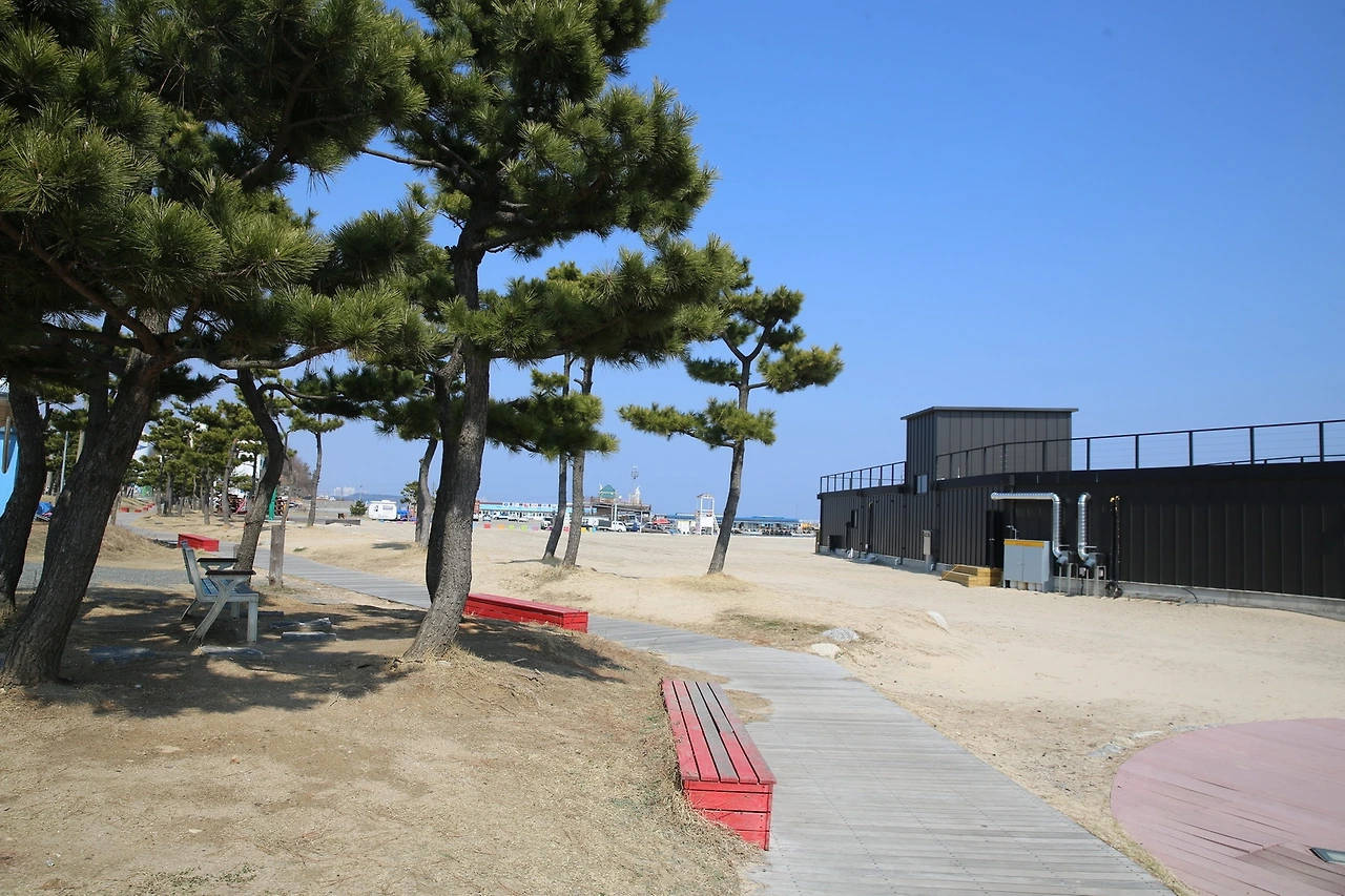 MG0A5280_новый размер.JPG