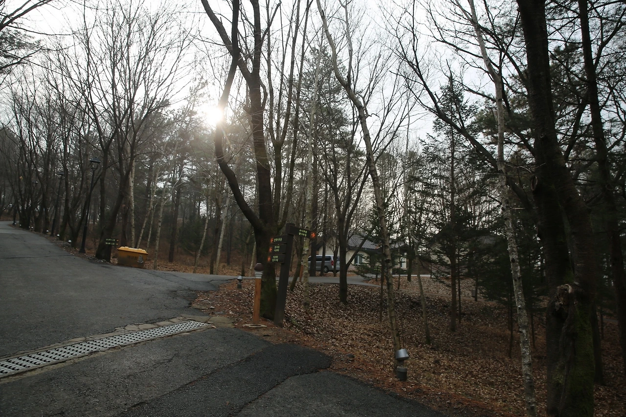 MG0A5475_новый размер.JPG