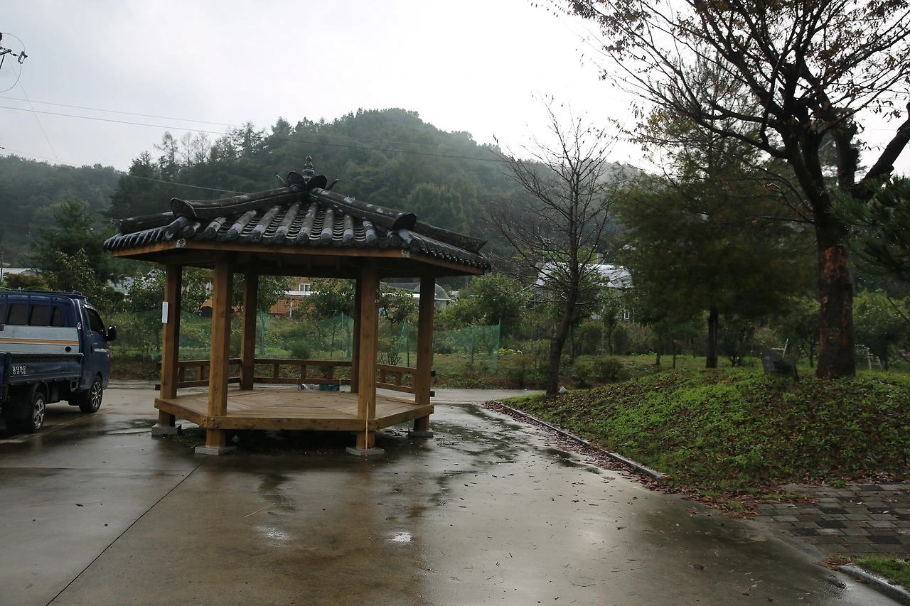 MG0A5562_новый размер.JPG