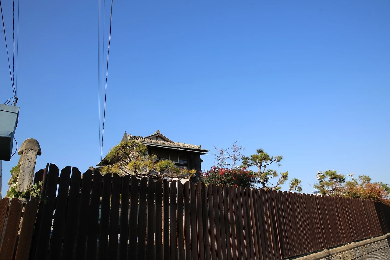 MG0A0635_новый размер.JPG