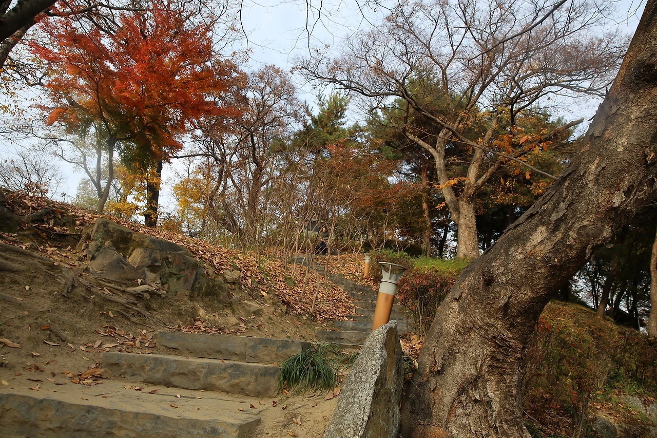 MG0A1754_новый размер.JPG