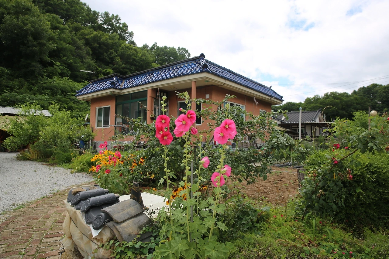 MG0A0433_новый размер.JPG