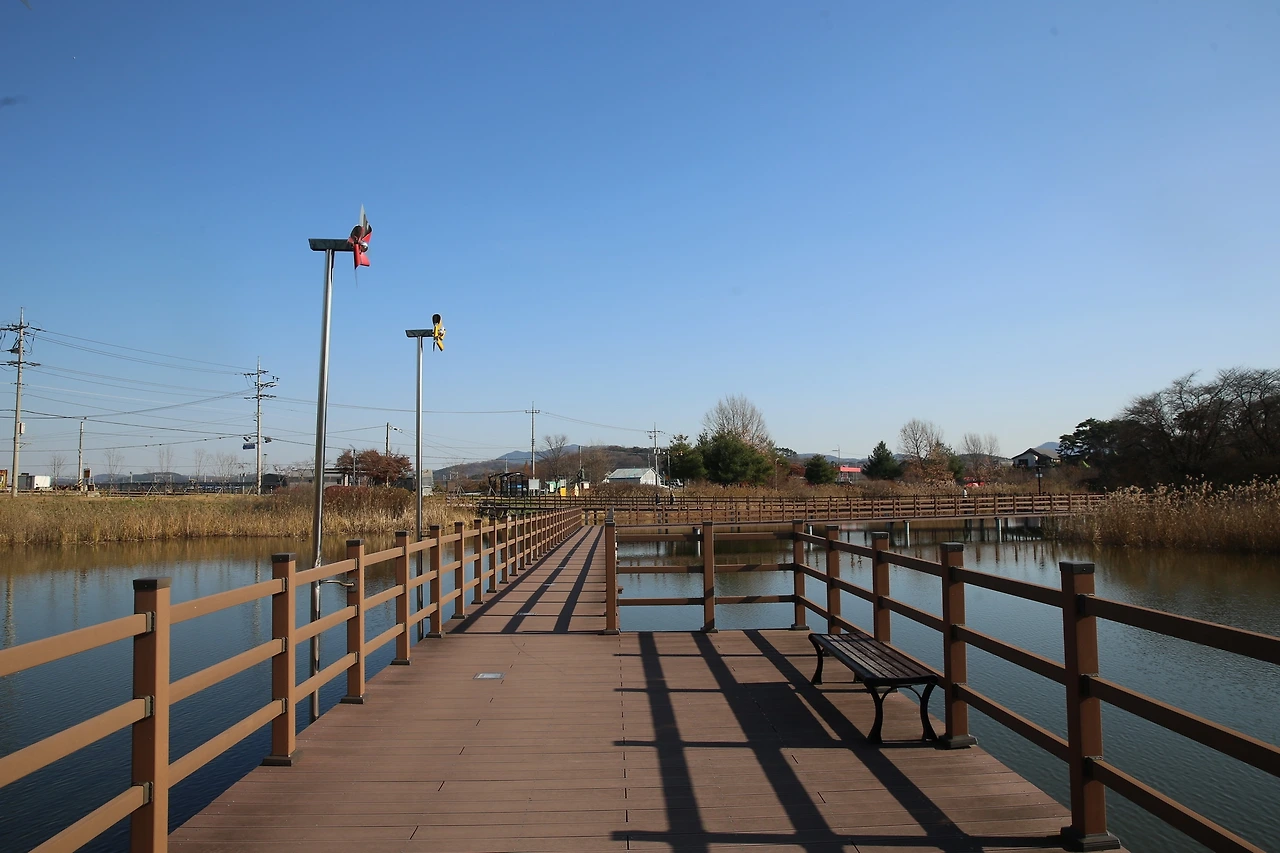 MG0A2708_новый размер.JPG