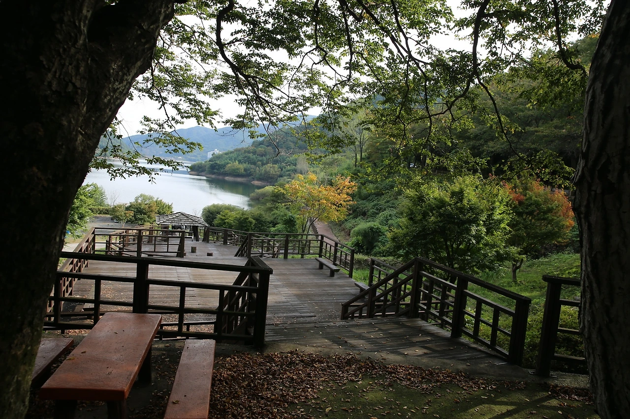 MG0A5853_новый размер.JPG