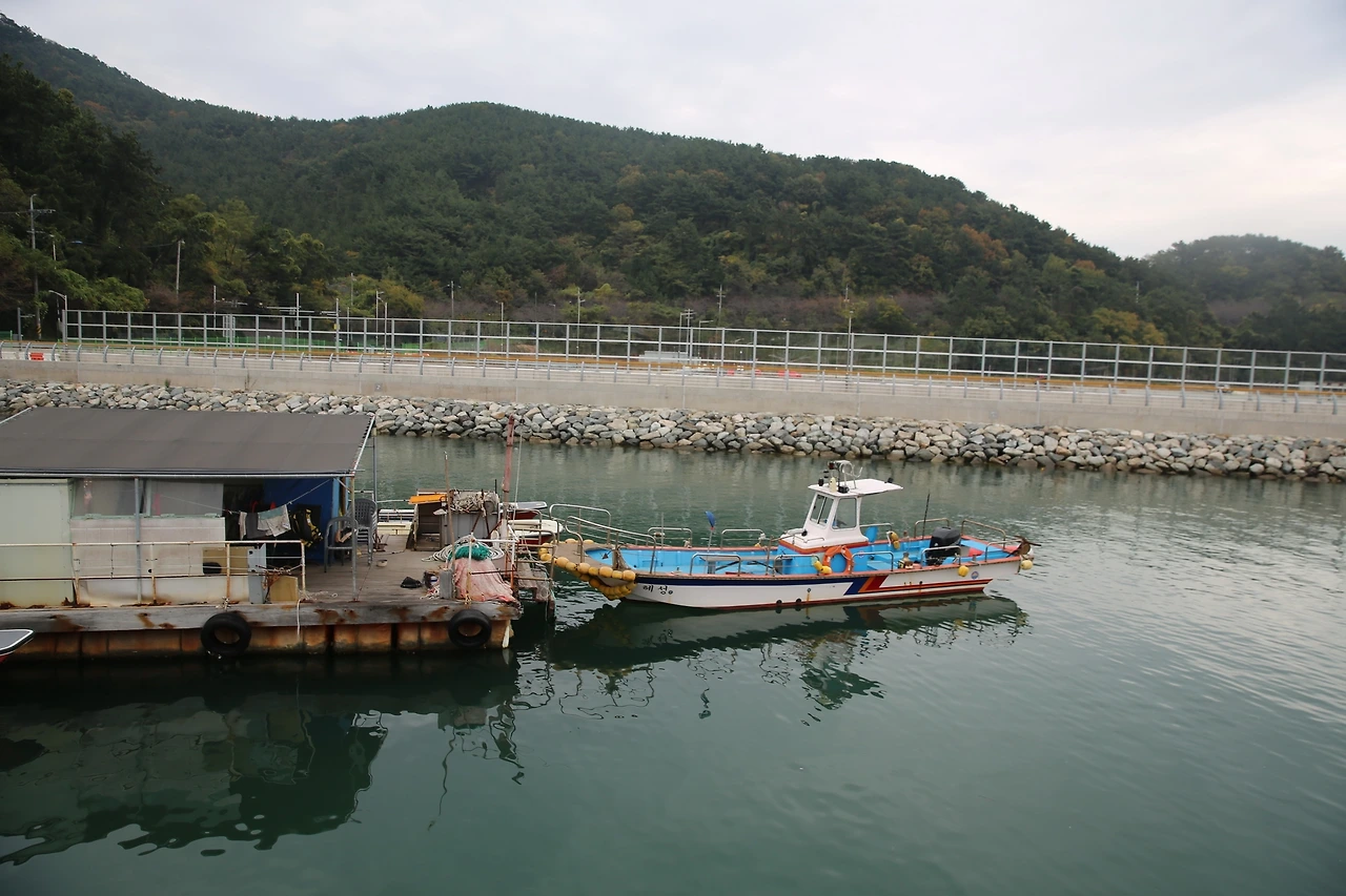 MG0A0516_новый размер.JPG