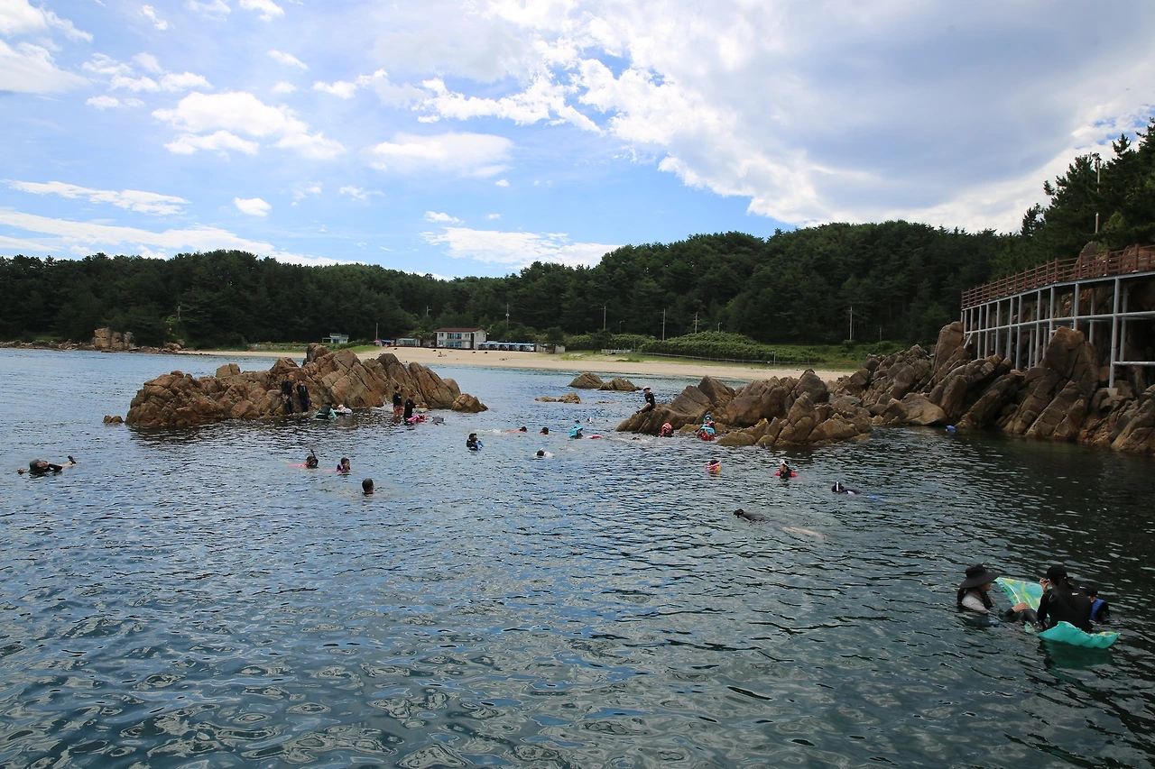 MG0A4832_новый размер.JPG