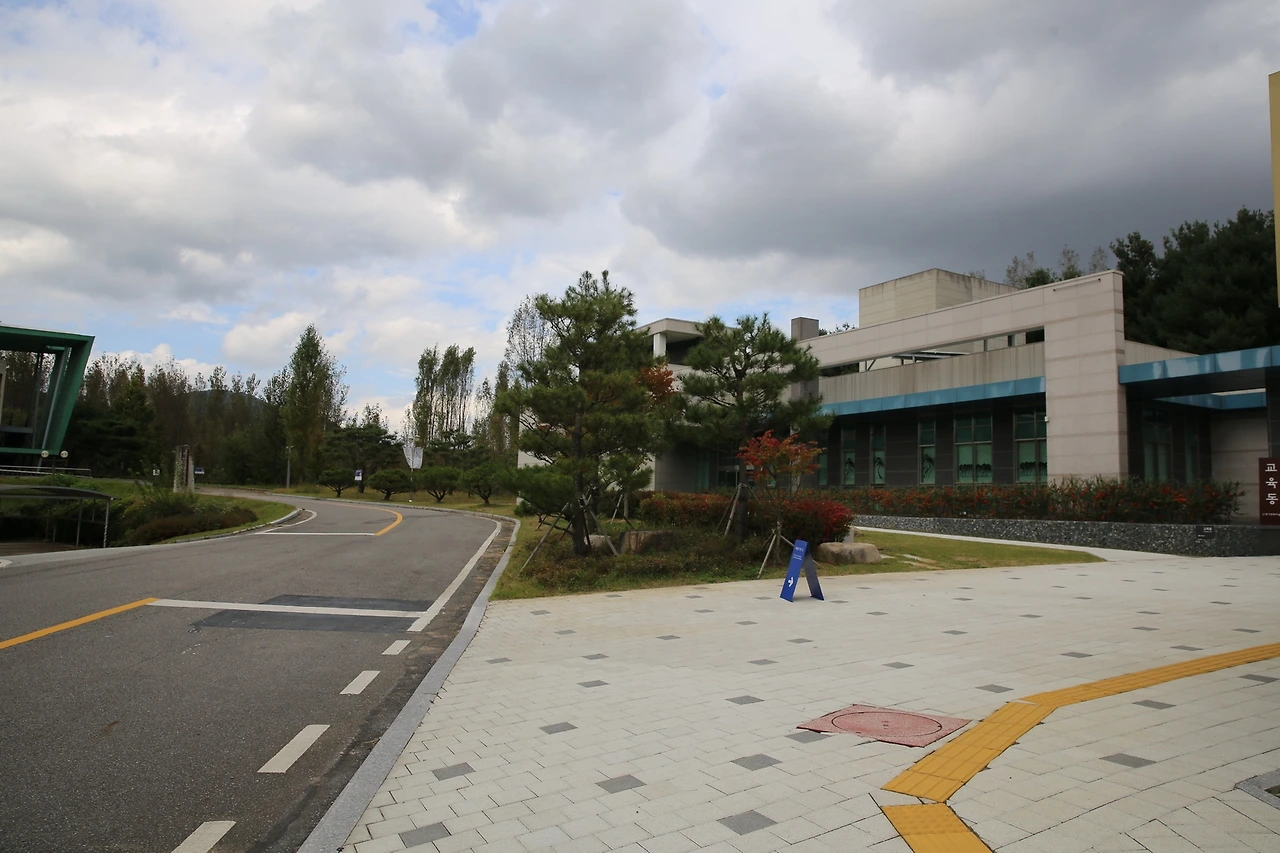 MG0A5606_новый размер.JPG