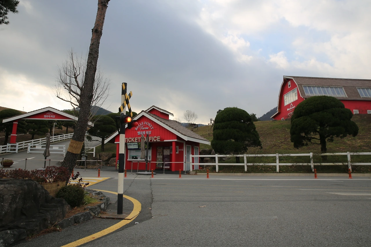 MG0A3126_новый размер.JPG