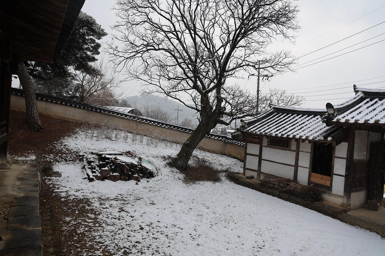 0R5A3122_новый размер.JPG