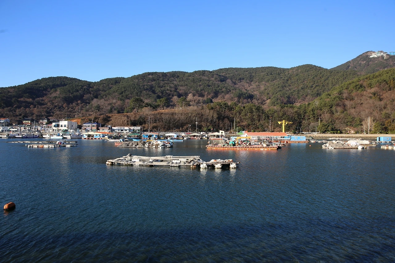 MG0A4554_новый размер.JPG