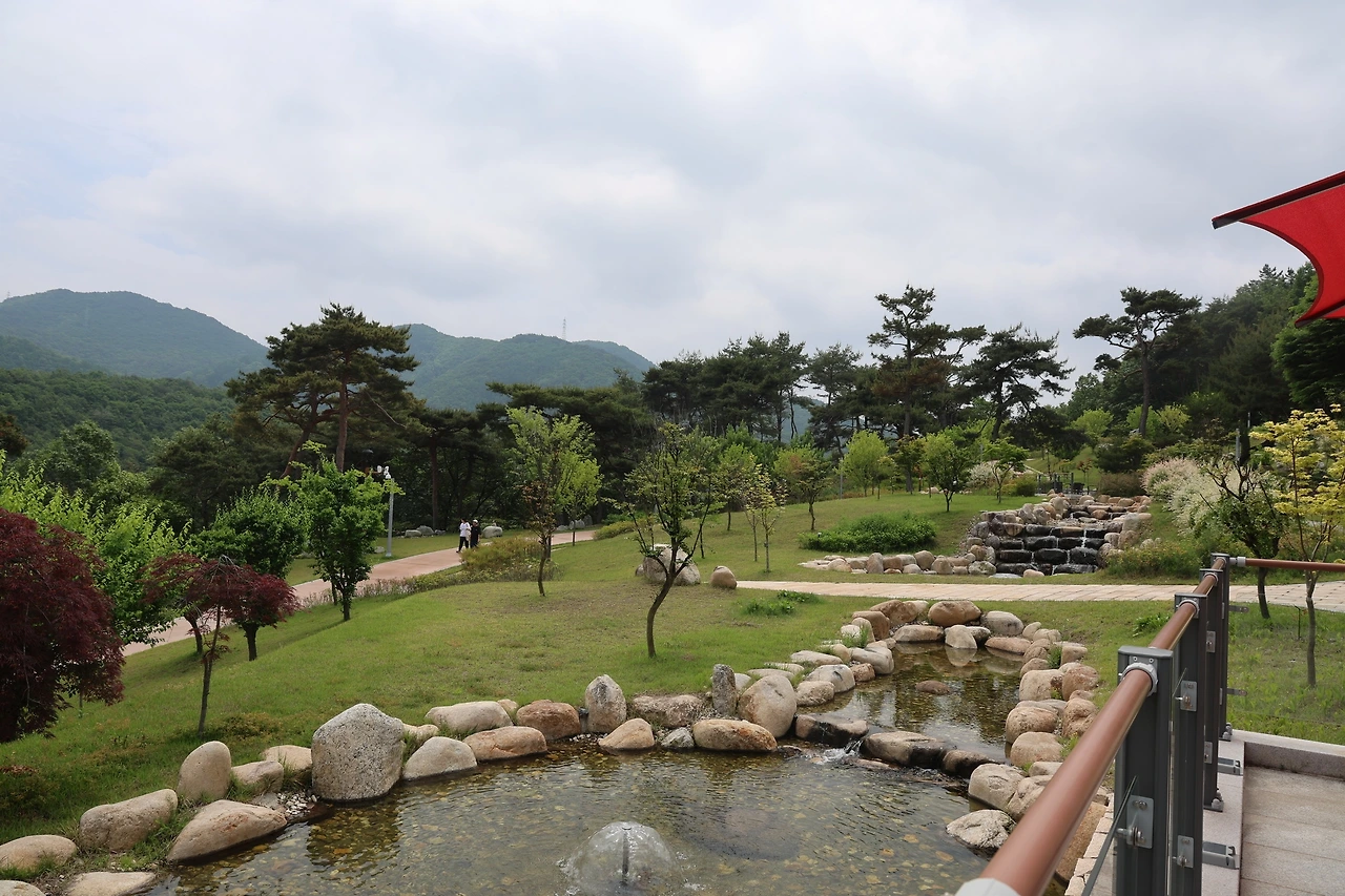 0R5A0931_новый размер.JPG