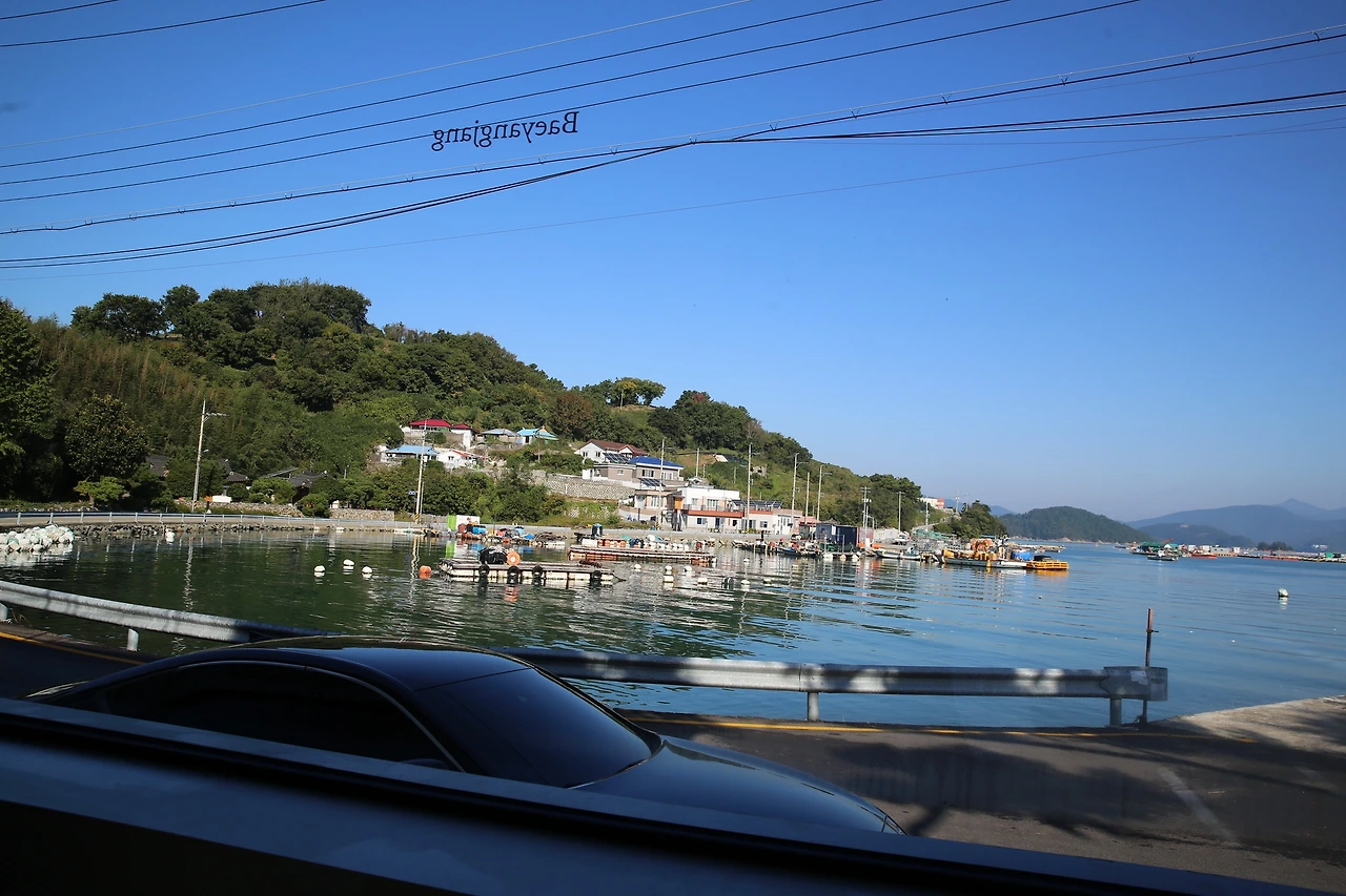 MG0A9113_новый размер.JPG