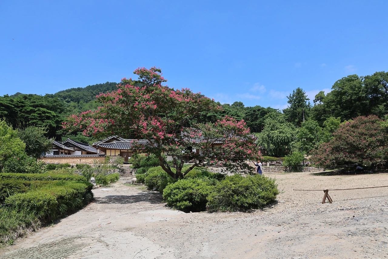 0R5A0865_новый размер.JPG