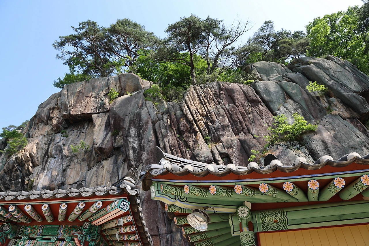 0R5A1352_новый размер.JPG