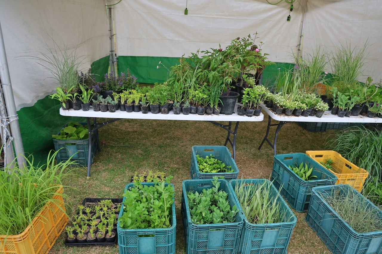 0R5A0187_новый размер.JPG