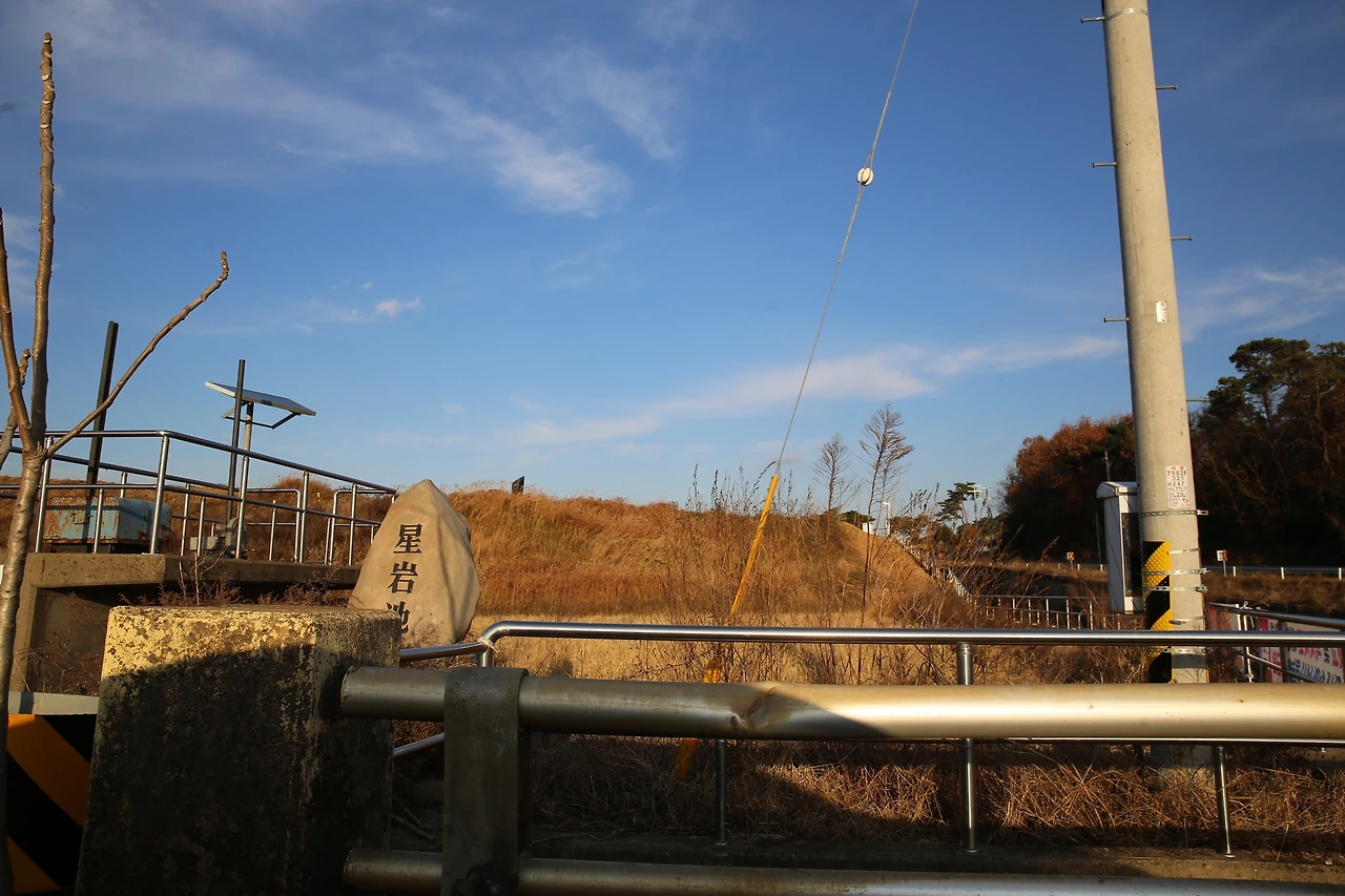 MG0A2943_новый размер.JPG