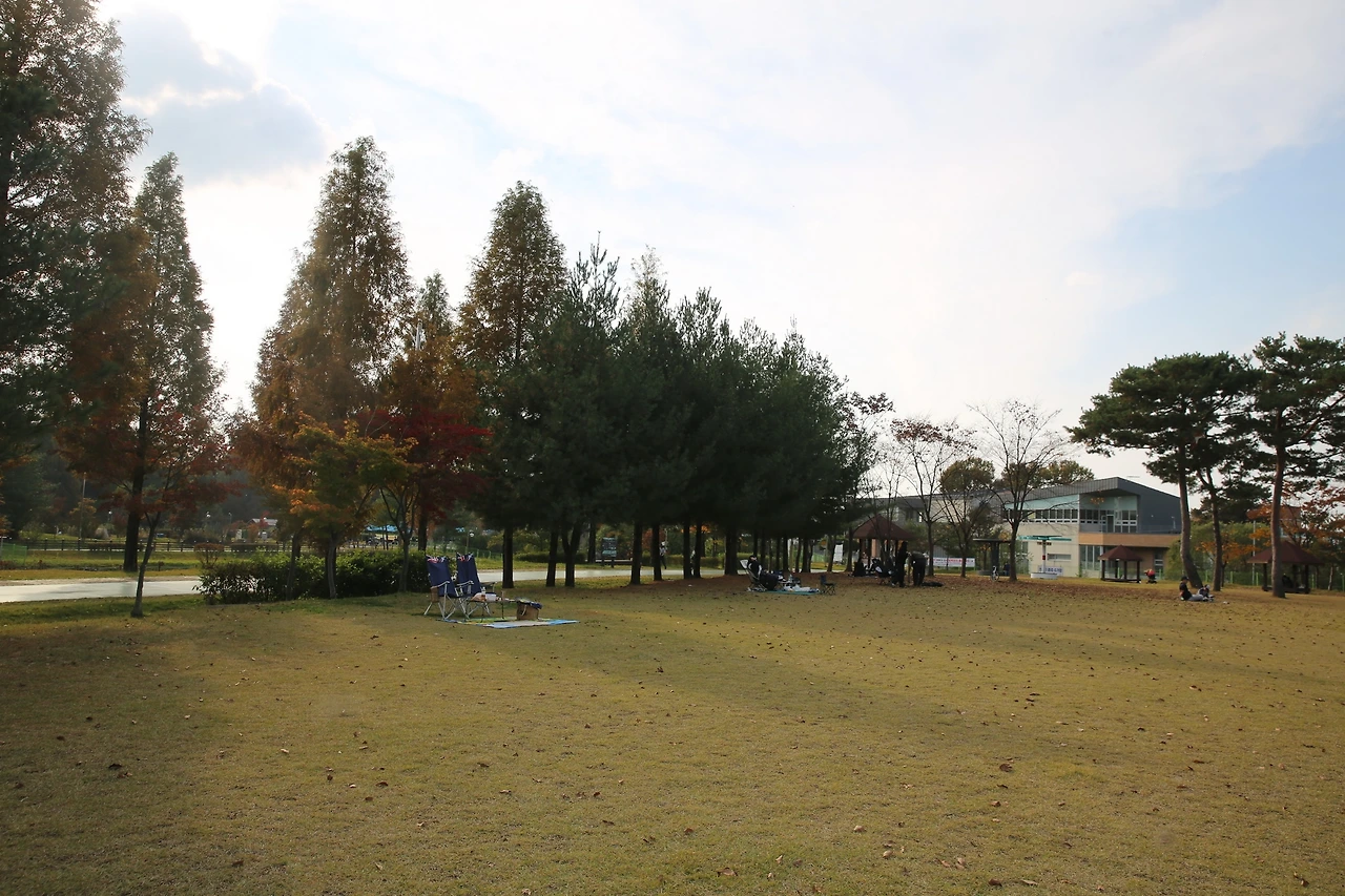 MG0A9658_новый размер.JPG