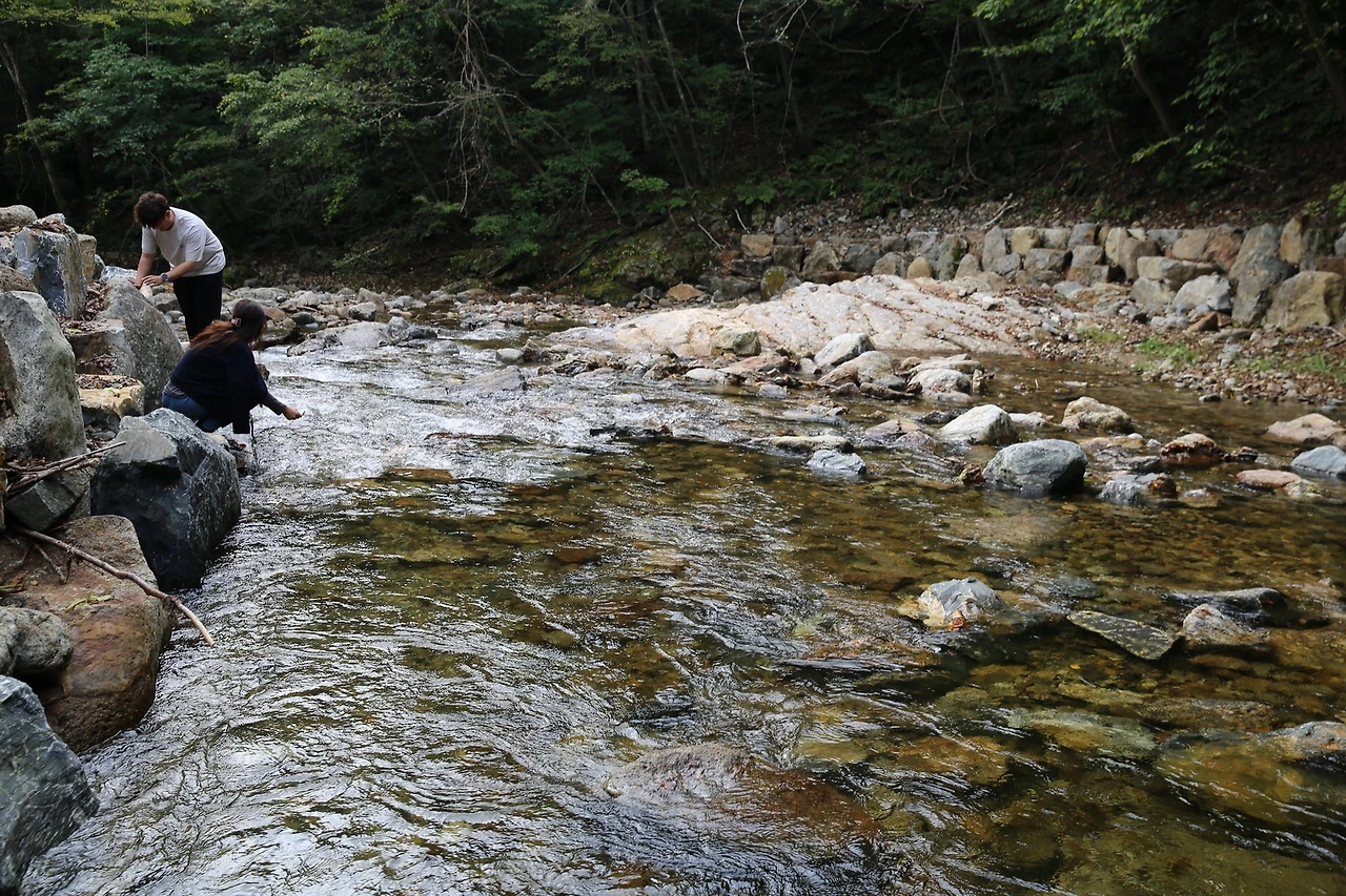 MG0A3946_новый размер.JPG