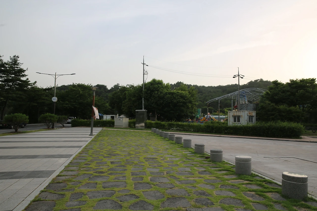 MG0A1210_новый размер.JPG