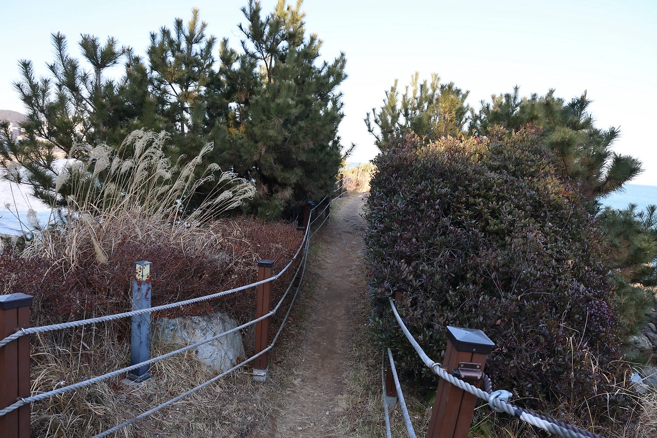 0R5A7899_новый размер.JPG