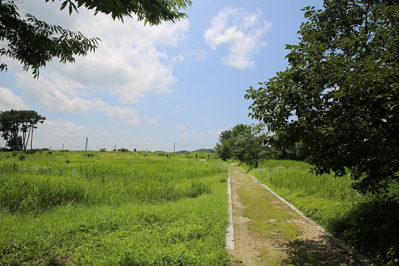 MG0A4424_новый размер.JPG